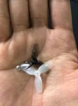 Śmigła 1,2" HQ Micro Whoop Prop 31MMX3 Blue (2CW+2CCW)-PC-1MM
